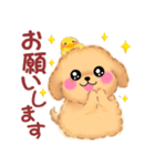 かわいいトイプードル❤️夏（個別スタンプ：12）