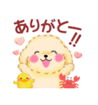 かわいいトイプードル❤️夏（個別スタンプ：13）