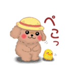 かわいいトイプードル❤️夏（個別スタンプ：14）