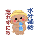かわいいトイプードル❤️夏（個別スタンプ：16）