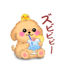 かわいいトイプードル❤️夏（個別スタンプ：17）