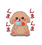 かわいいトイプードル❤️夏（個別スタンプ：19）