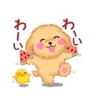かわいいトイプードル❤️夏（個別スタンプ：20）