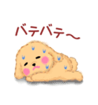 かわいいトイプードル❤️夏（個別スタンプ：23）