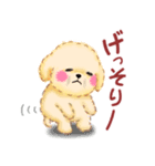 かわいいトイプードル❤️夏（個別スタンプ：27）