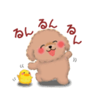 かわいいトイプードル❤️夏（個別スタンプ：28）