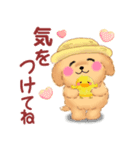 かわいいトイプードル❤️夏（個別スタンプ：35）