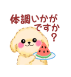 かわいいトイプードル❤️夏（個別スタンプ：36）