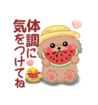 かわいいトイプードル❤️夏（個別スタンプ：37）