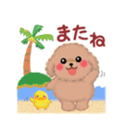 かわいいトイプードル❤️夏（個別スタンプ：40）