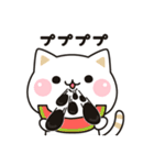 夏★飛び出す気づかいのできないネコ★（個別スタンプ：14）