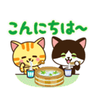 夏♡ねこまみれの日常スタンプ（個別スタンプ：6）