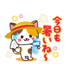 夏♡ねこまみれの日常スタンプ（個別スタンプ：8）