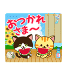 夏♡ねこまみれの日常スタンプ（個別スタンプ：9）