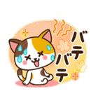 夏♡ねこまみれの日常スタンプ（個別スタンプ：13）