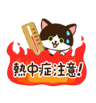 夏♡ねこまみれの日常スタンプ（個別スタンプ：14）