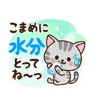 夏♡ねこまみれの日常スタンプ（個別スタンプ：15）