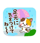 夏♡ねこまみれの日常スタンプ（個別スタンプ：17）