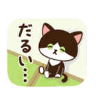 夏♡ねこまみれの日常スタンプ（個別スタンプ：19）