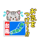 夏♡ねこまみれの日常スタンプ（個別スタンプ：21）