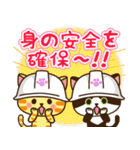 夏♡ねこまみれの日常スタンプ（個別スタンプ：23）