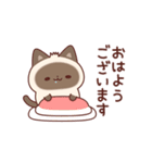 毎日使えるシャム猫スタンプ 挨拶多め♪（個別スタンプ：4）