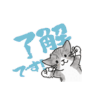 ゆかいな猫の夏スタンプwithデカ文字（個別スタンプ：9）