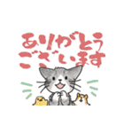ゆかいな猫の夏スタンプwithデカ文字（個別スタンプ：10）