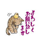 ゆかいな猫の夏スタンプwithデカ文字（個別スタンプ：12）