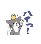 ゆかいな猫の夏スタンプwithデカ文字（個別スタンプ：15）
