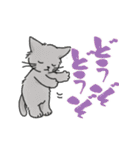 ゆかいな猫の夏スタンプwithデカ文字（個別スタンプ：16）