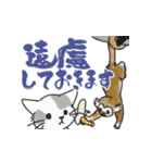 ゆかいな猫の夏スタンプwithデカ文字（個別スタンプ：17）