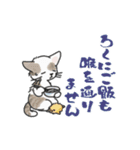 ゆかいな猫の夏スタンプwithデカ文字（個別スタンプ：20）