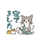 ゆかいな猫の夏スタンプwithデカ文字（個別スタンプ：22）