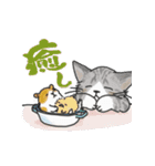 ゆかいな猫の夏スタンプwithデカ文字（個別スタンプ：24）