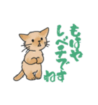 ゆかいな猫の夏スタンプwithデカ文字（個別スタンプ：25）