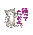 ゆかいな猫の夏スタンプwithデカ文字（個別スタンプ：27）