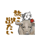 ゆかいな猫の夏スタンプwithデカ文字（個別スタンプ：29）