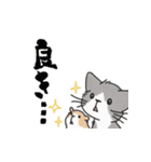 ゆかいな猫の夏スタンプwithデカ文字（個別スタンプ：31）