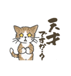 ゆかいな猫の夏スタンプwithデカ文字（個別スタンプ：32）