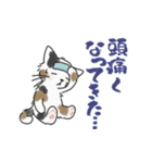 ゆかいな猫の夏スタンプwithデカ文字（個別スタンプ：38）