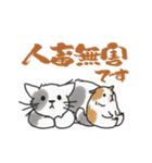 ゆかいな猫の夏スタンプwithデカ文字（個別スタンプ：40）
