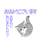 優しい敬語 まんまるチビ猫たち（個別スタンプ：1）