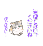 優しい敬語 まんまるチビ猫たち（個別スタンプ：7）