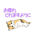 優しい敬語 まんまるチビ猫たち（個別スタンプ：8）