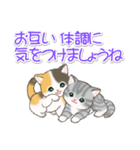 優しい敬語 まんまるチビ猫たち（個別スタンプ：9）