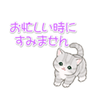 優しい敬語 まんまるチビ猫たち（個別スタンプ：11）
