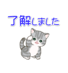 優しい敬語 まんまるチビ猫たち（個別スタンプ：13）