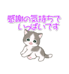 優しい敬語 まんまるチビ猫たち（個別スタンプ：19）