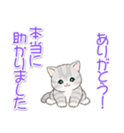 優しい敬語 まんまるチビ猫たち（個別スタンプ：20）